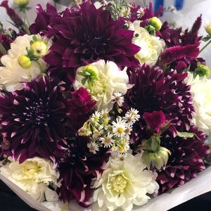 Meet your Posher, Melynda